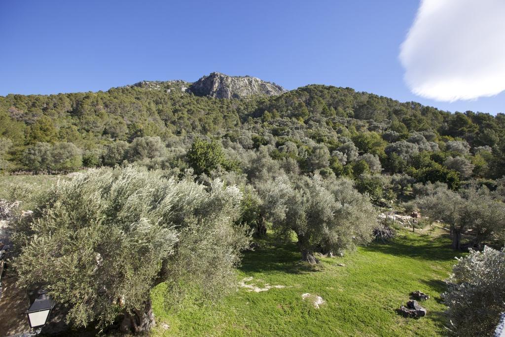 Finca Es Castell Бінібона Екстер'єр фото